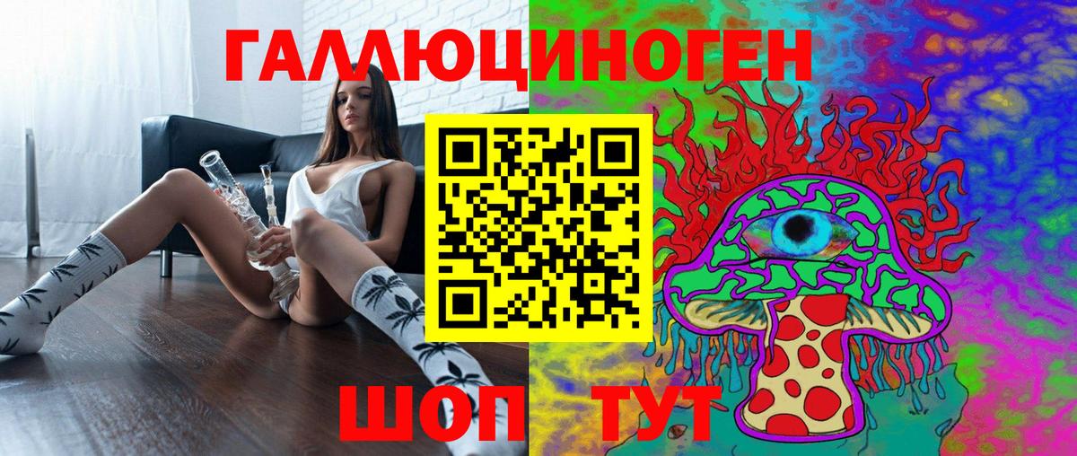 Галлюциногенные грибы Psilocybine cubensis Алейск